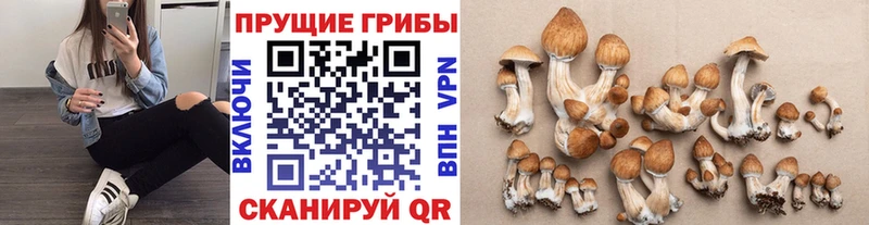 Псилоцибиновые грибы GOLDEN TEACHER  Ханты-Мансийск 