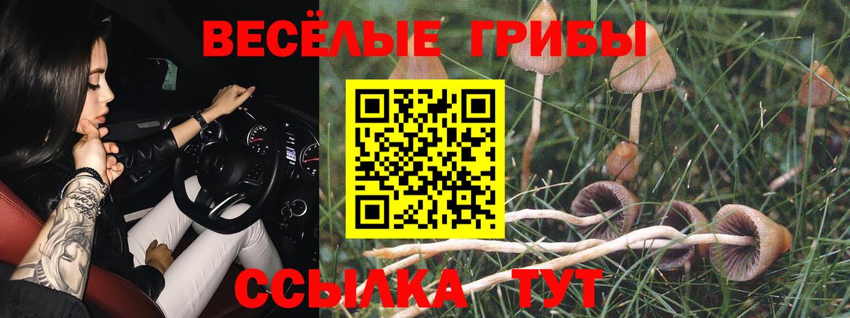 Галлюциногенные грибы прущие грибы Ханты-Мансийск